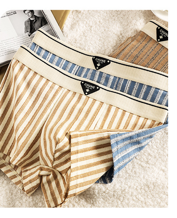 New Striped Soft Cotton Underwear (set of 04)